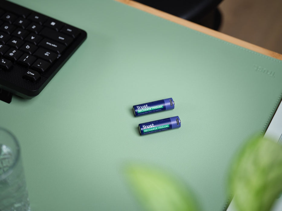 Batteries Trust 25584
