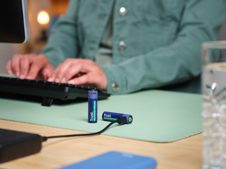 Batteries Trust 25584