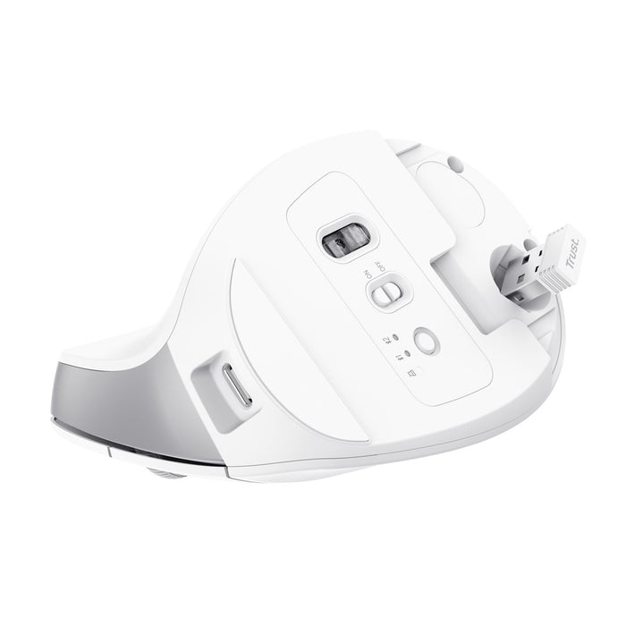 Trust Bayo+ mouse Office Right-hand RF Wireless + Bluetooth Optical 2400 DPI