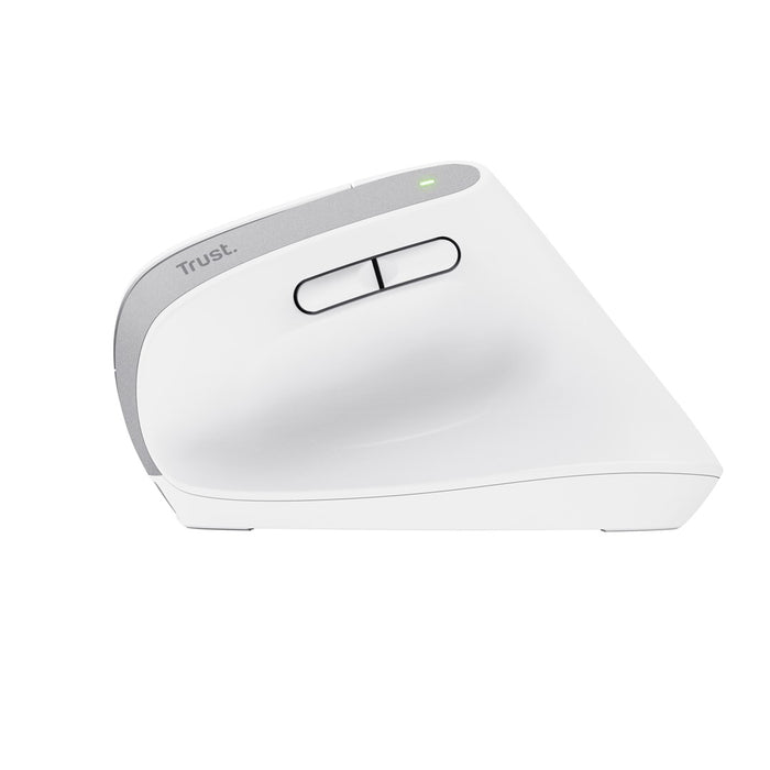 Trust Bayo+ mouse Office Right-hand RF Wireless + Bluetooth Optical 2400 DPI