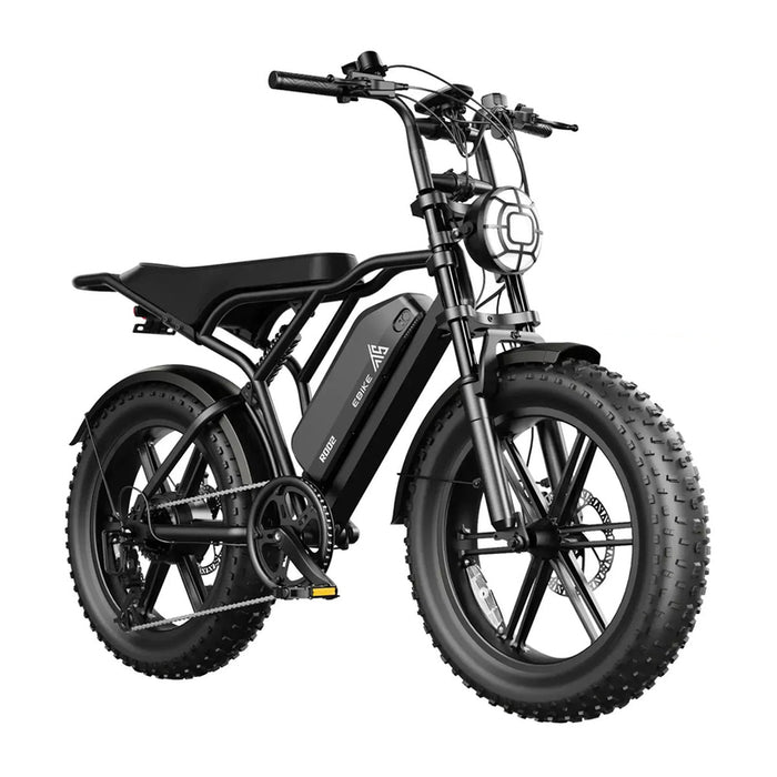 Electric bicycle TST R002 PLUS FAT BK 250 W, UP TO 25 KM/H, MILEAGE UP TO 115 KM, 20.00 "