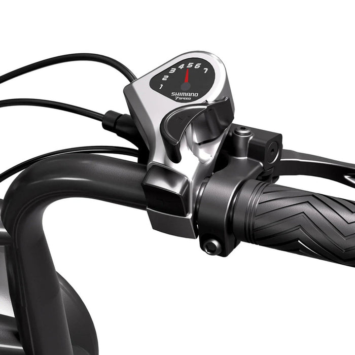Electric bicycle TST R002 PLUS FAT BK 250 W, UP TO 25 KM/H, MILEAGE UP TO 115 KM, 20.00 "