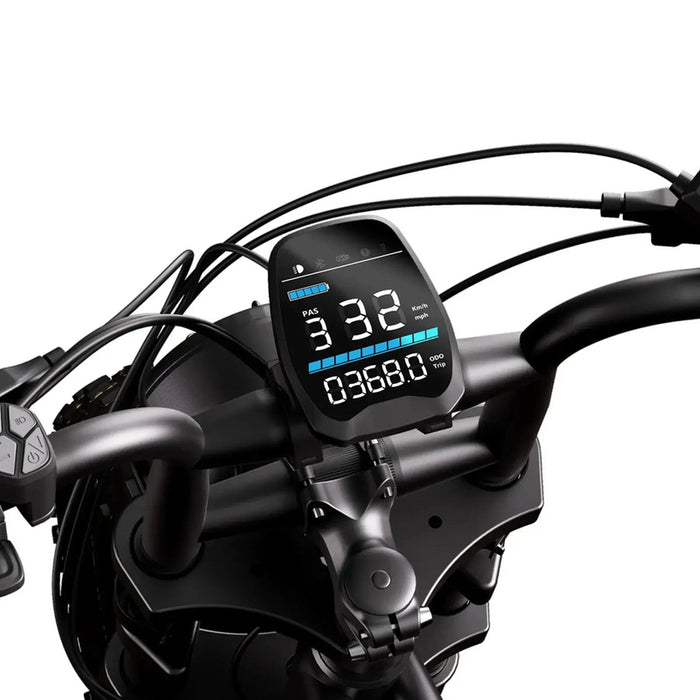 Electric bicycle TST R002 PLUS FAT BK 250 W, UP TO 25 KM/H, MILEAGE UP TO 115 KM, 20.00 "