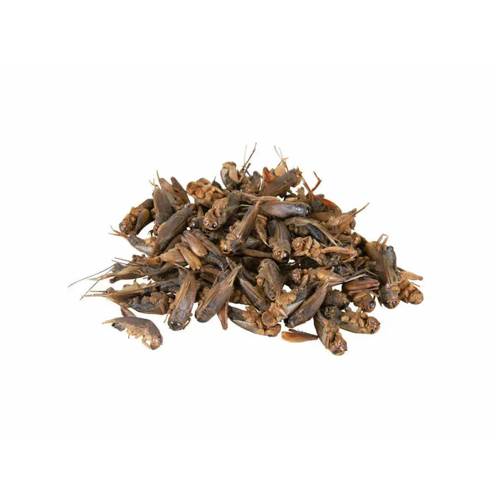 Turtle Food Trixie - Домашни Животни<<<Дом Градина<<<BigBuy&&&Хранене на домашни любимци<<<Домашни Животни<<<Дом