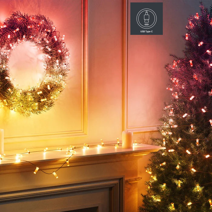 LIGHTING GARLAND 600CM 100LED TWINKLY TWKC100RGB-G