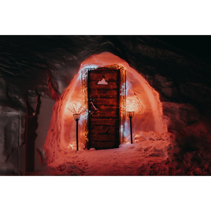 FIGURE BRANCH 80CM 200LED TWINKLY TWB200STP-WEU