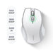 Ugreen MU101 ergonomic wireless mouse Bluetooth / 2.4 GHz - white - Other office accessories<<<HurtelXML