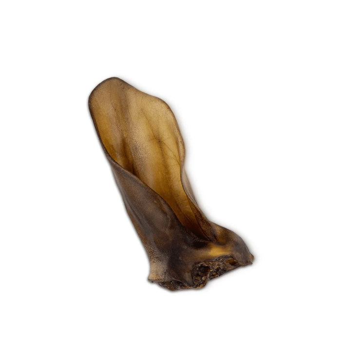 UNISZKI Medium Beef Ear - Dog Treat - 1 Piece
