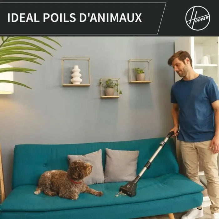 vacuum cleaner Hoover HP321PAF Grey 850 W - Почистване Прахосмукачки И Гладене<<<Дом Градина<<<BigBuy&&&Прахосмукачки и
