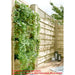 VERTICAL BED 90X180CM CERLAND EDEN - Арки стойки и лехи<<<Саксии кашпи и цветарници<<<Градина<<<Praktiker