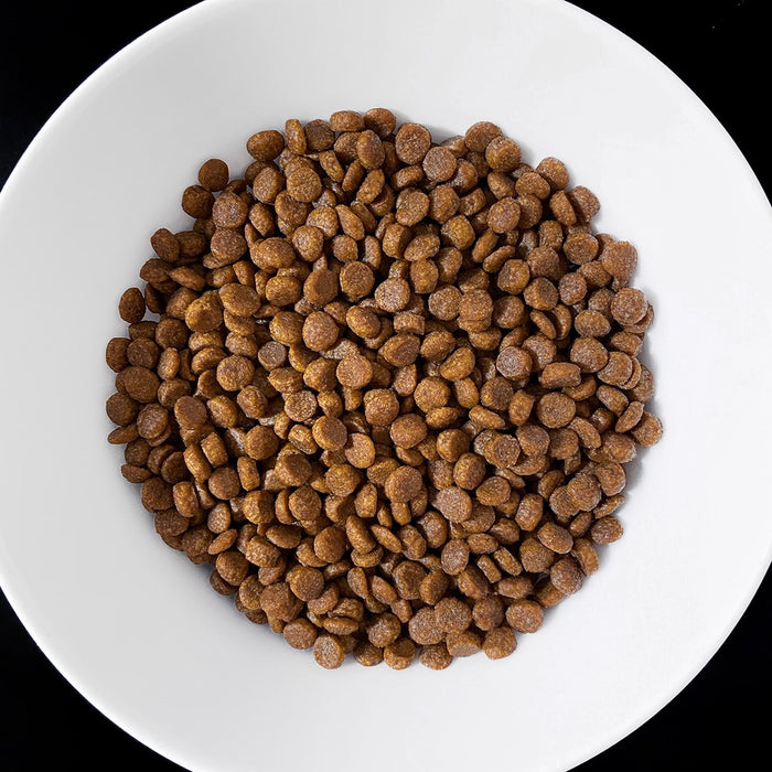 VET RESPONSE Gastrointestinal - dry cat food - 1,6kg