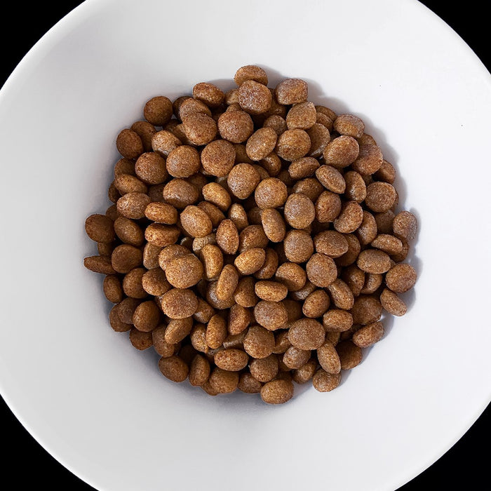 VET RESPONSE Hypoallergenic - dry dog food - 1,6kg