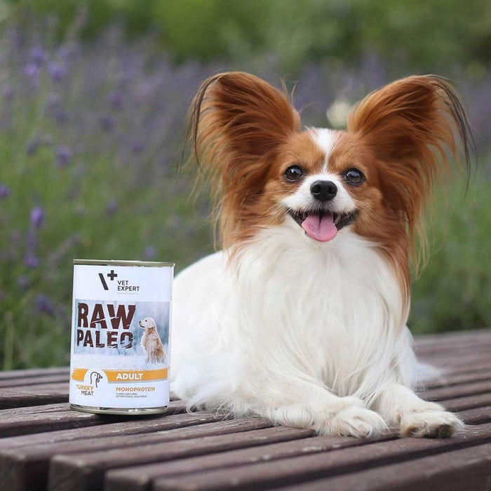 VETEXPERT Raw Paleo Adult Monoprotein Turkey - wet dog food - 400 g