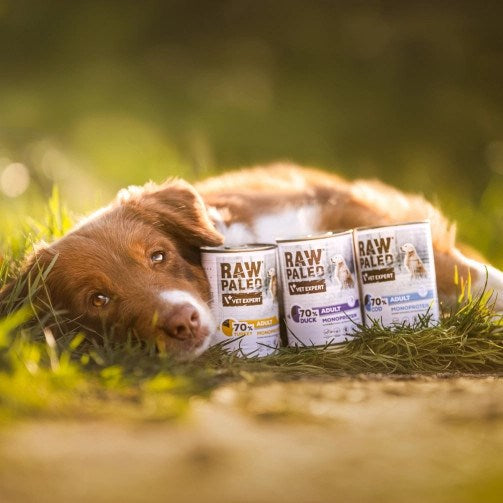 VETEXPERT Raw Paleo Adult Monoprotein Turkey - wet dog food - 800 g