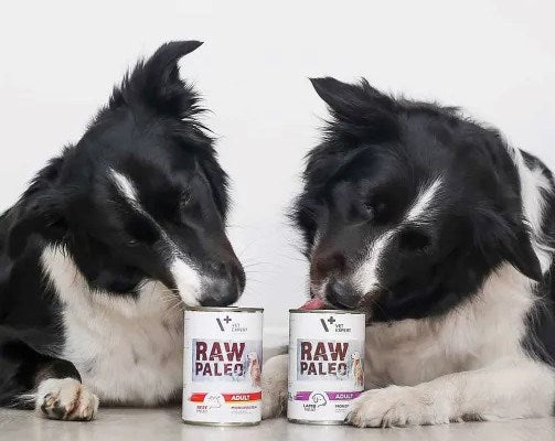 VETEXPERT Raw Paleo Adult Monoprotein Beef - wet dog food - 800 g