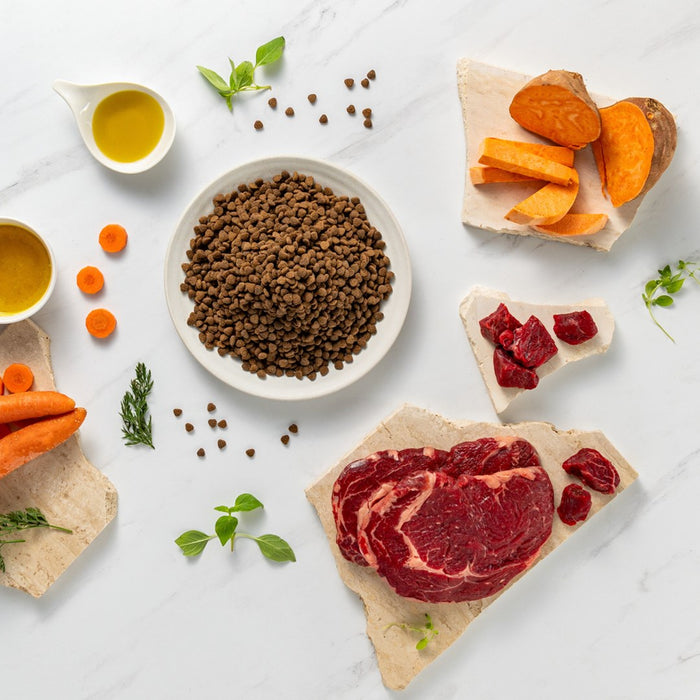 VETEXPERT Raw Paleo Ultra Mini Puppy Beef - dry food for puppies of small breeds - 8 kg