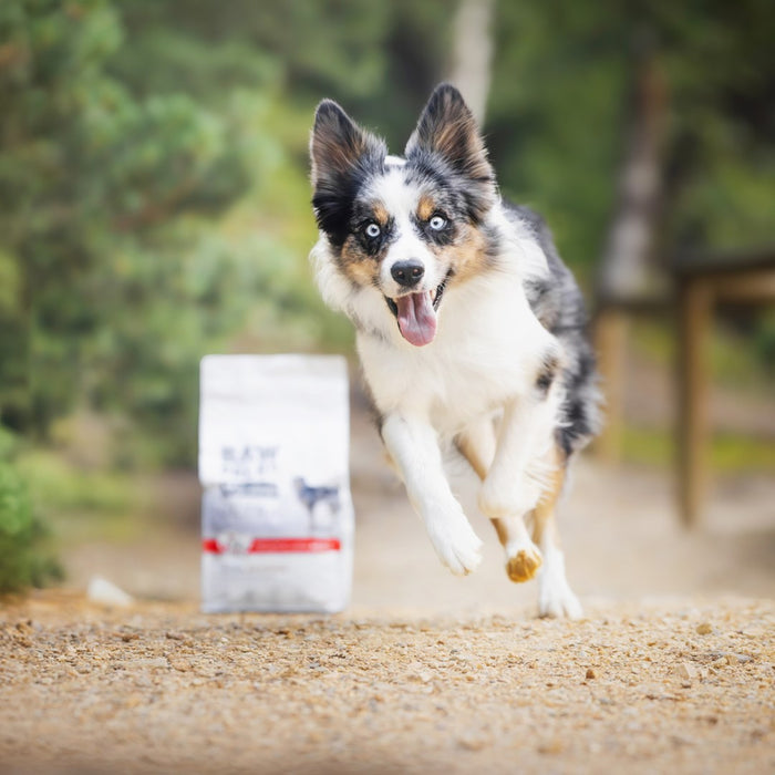 VETEXPERT Raw Paleo Ultra Medium&Large Adult Beef - dry dog food - 10 kg