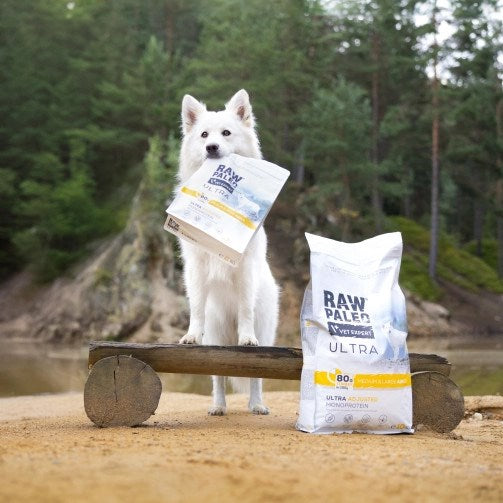 VETEXPERT Raw Paleo Ultra Medium&Large Adult Turkey - dry dog food - 10 kg