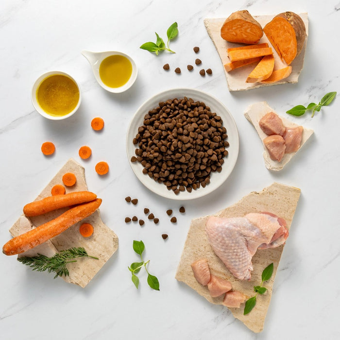 VETEXPERT Raw Paleo Ultra Medium&Large Puppy Turkey - dry food for puppies - 2 kg