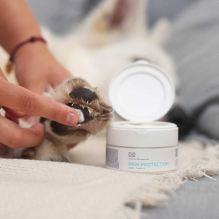 VETEXPERT Paw Protection - protective ointment for paws for dogs and cats - 75 ml