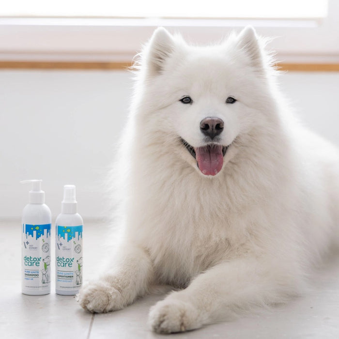 VETEXPERT Detox Care Pure White Shampoo - shampoo for dogs and cats - 250 ml