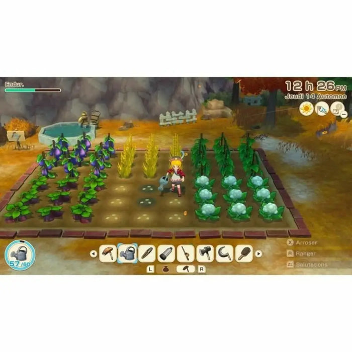 Video game for Switch Just For Games Story of Seasons Grand Bazaar: Limited Edition - Електроника Игри<<<Компютри|