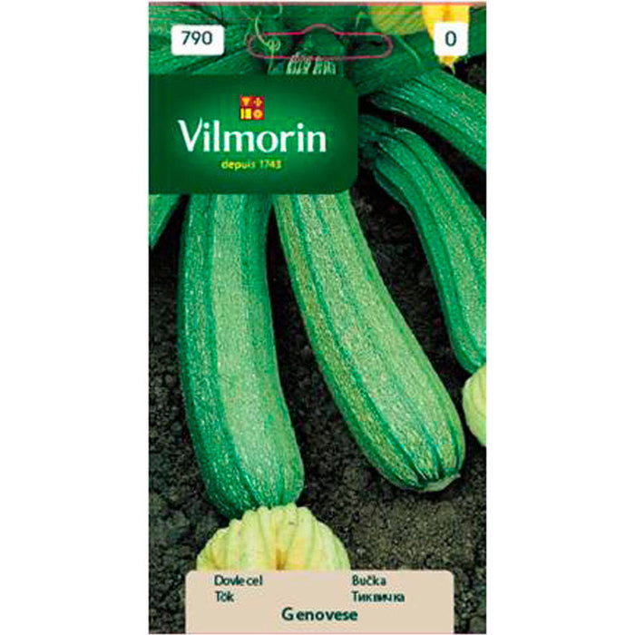 VILMORIN PUMPKIN SEEDS - Семена<<<Семена луковици и разсад<<<Градина<<<Praktiker