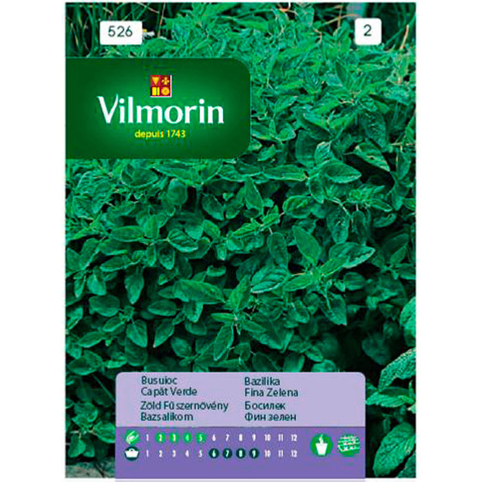 BASIL SEEDS COMMON VILMORIN