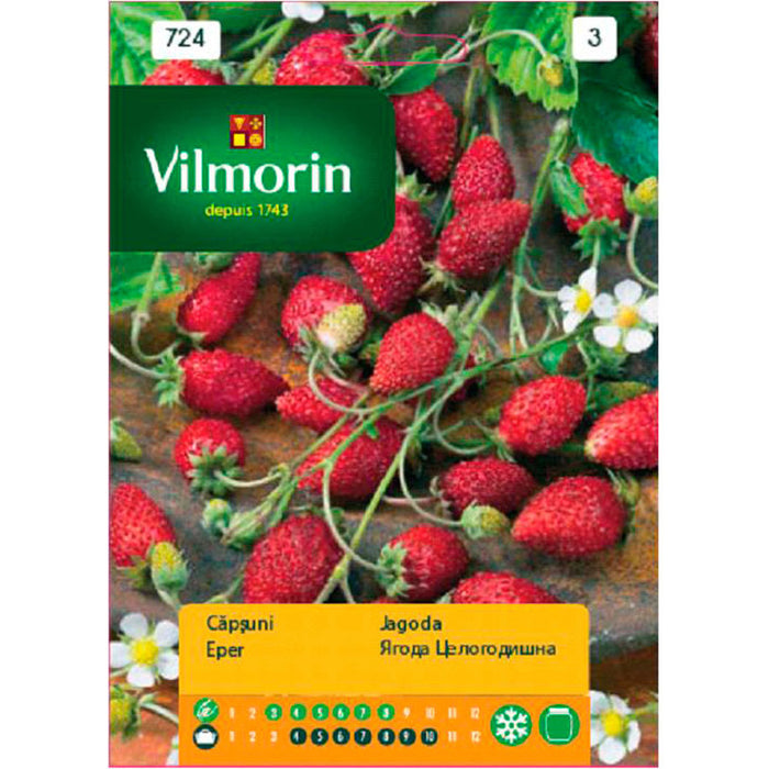 STRAWBERRY SEEDS VILMORIN