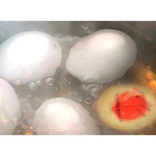 VIN BOUQUET EGG COOKING TIMER - Други кухненски пособия<<<Домашни потреби<<<Кухня<<<Praktiker