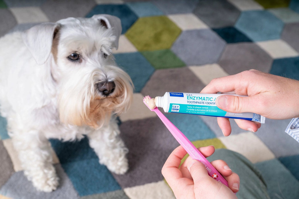 VIRBAC C.E.T. - enzymatic toothpaste for dogs and cats - 70 g
