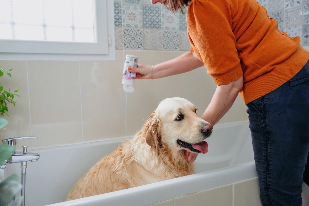 VIRBAC Allerderm Normal - shampoo for dogs and cats - 250ml