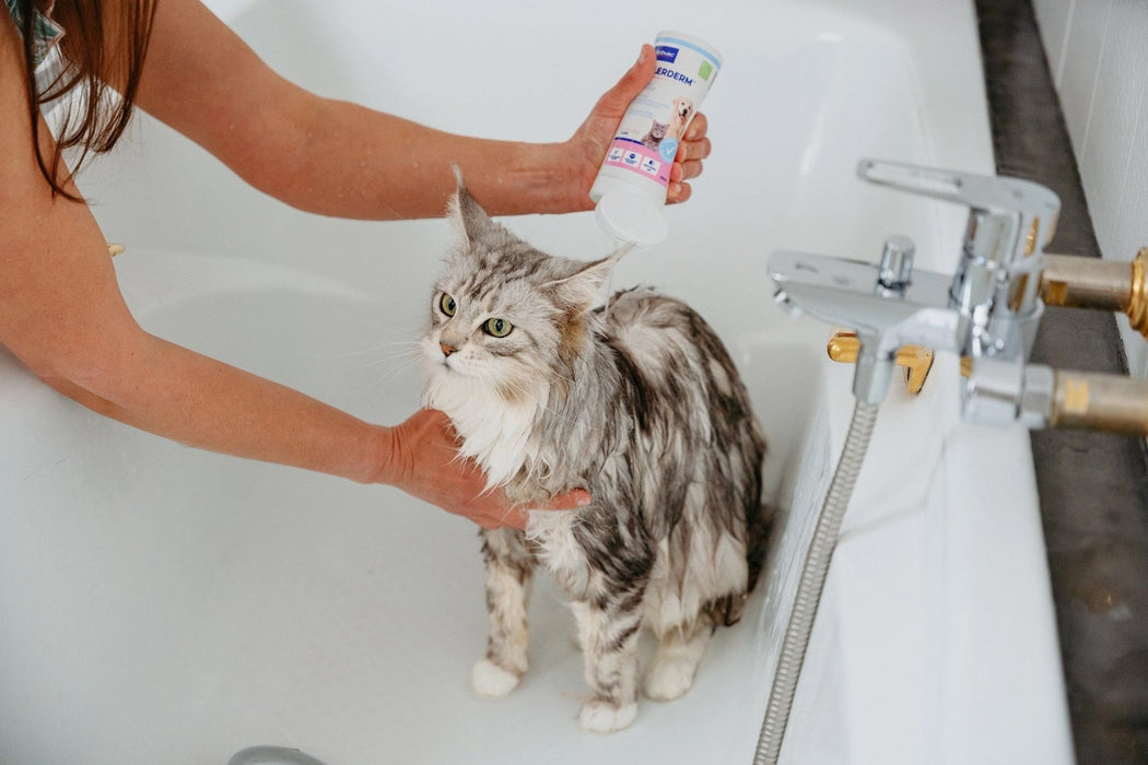VIRBAC Allerderm Normal - shampoo for dogs and cats - 250ml