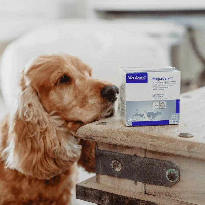 VIRBAC Megaderm fatty acids supporting skin and coat- supplements for dogs and cats - 28x4ml