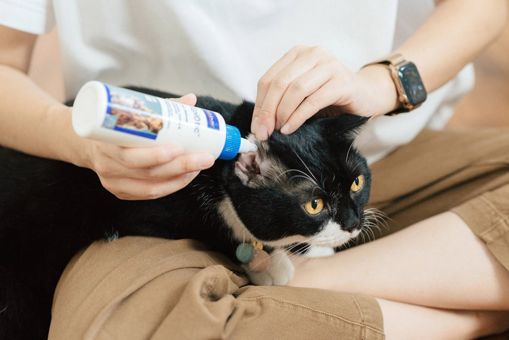VIRBAC EpiOtic Ear Cleanser -  ear care liquid for dogs and cats - 60 ml