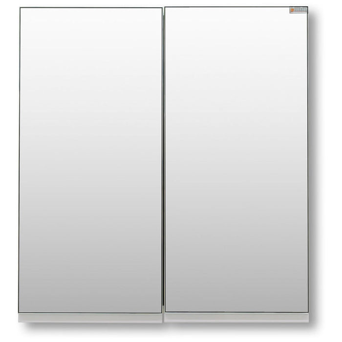 BATHROOM CABINET WITH MIRROR HEIGHT POLI 55