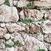 WALLPAPER SIMPLEX CALLA 1008-2 - Тапети<<<Тапети и фототапети<<<Мебели и интериор<<<Praktiker&&&Тапети<<<Тапети и