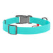 Waterproof glowing dog collar with QR passport WAUDOG 40 mm wide 46-70 cm long - Walking