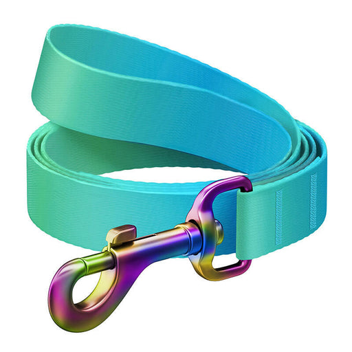 WAUDOG gradient nylon dog leash 20 mm wide 122 cm long blue - Walking and transportation<<<Pets<<<InnproXML