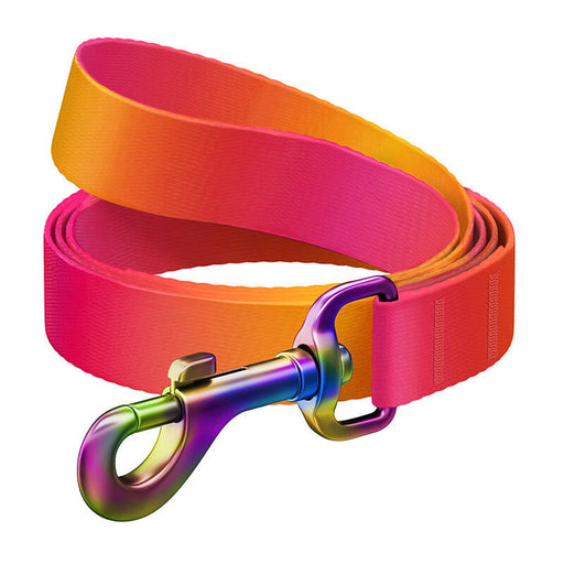 WAUDOG gradient nylon dog leash 20mm wide 122cm long orange - Walking and transportation<<<Pets<<<InnproXML