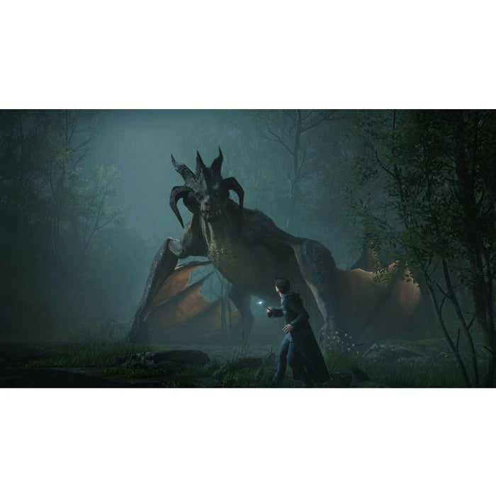 Hogwarts Legacy Game (PS5)