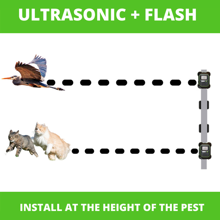 ANIMAL PROTECTION DEVICE WEITECH GARDEN PROTECTOR 4