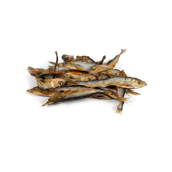 Wet food Snackys Fish 70 g - Домашни Животни<<<Дом Градина<<<BigBuy&&&Хранене на домашни любимци<<<Домашни