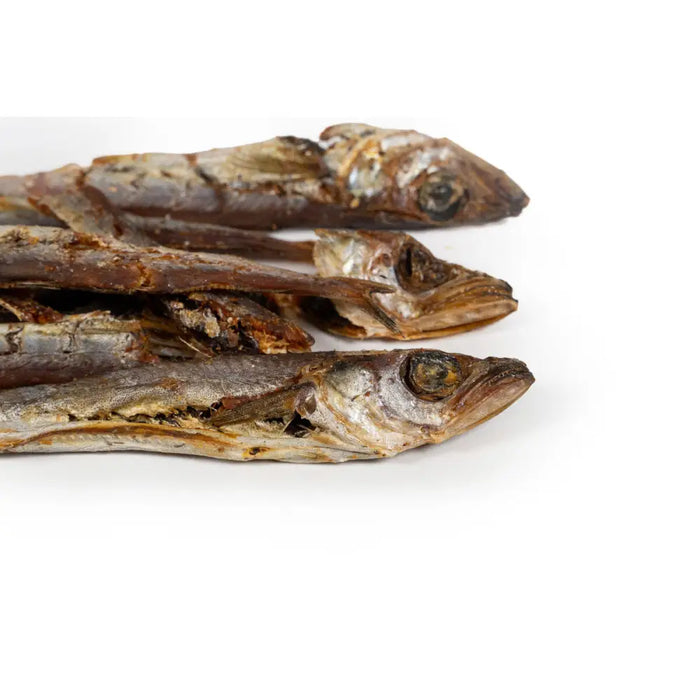 Wet food Snackys Fish 70 g - Домашни Животни<<<Дом Градина<<<BigBuy&&&Хранене на домашни любимци<<<Домашни