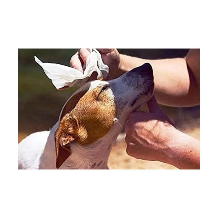 Wet Wipes for Pets GILL’S XL 30 x 20 cm 40 Units - Домашни Животни<<<Дом Градина<<<BigBuy&&&Здраве и хигиена<<<Домашни