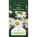 WHITE GARDEN DAISY SEEDS - Семена<<<Семена луковици и разсад<<<Градина<<<Praktiker