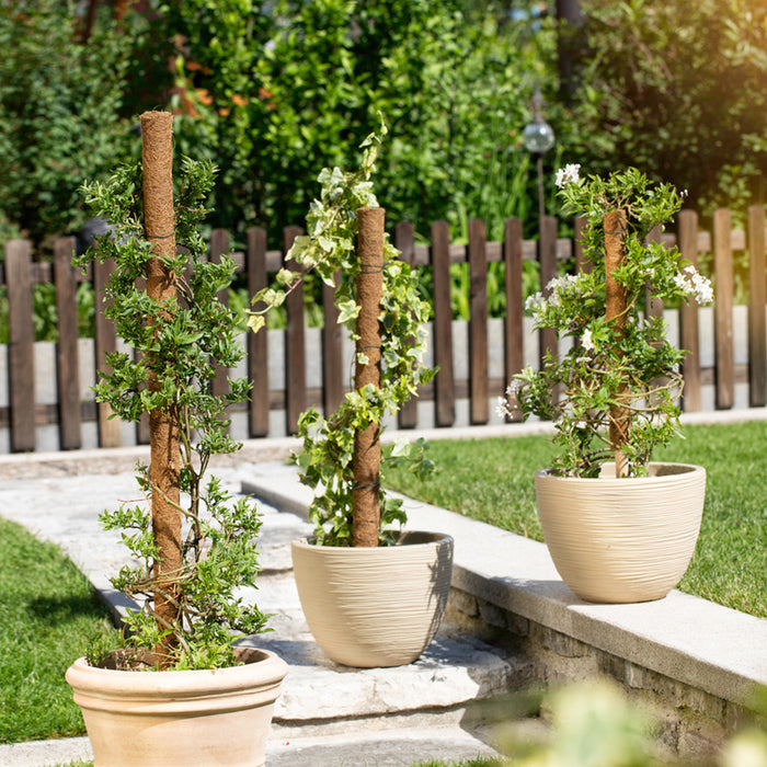 COCONUT RODS FOR CLIMBING PLANTS WINDHAGER