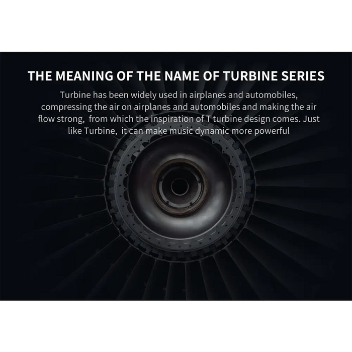 Wireless headphones Bluedio T6 Bluetooth 5.0 ANC Foldable - Wireless Earphones