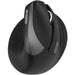 Wireless Mouse Urban Factory ERGO PRO 4000 dpi Black - Електроника Периферни и резервни части<<<Компютри|
