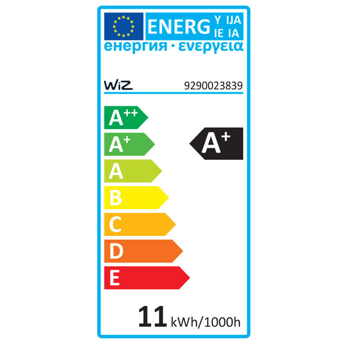 LED BULB E27 11W 2200-6500K 1055LM G95 RGB MAT WI-FI WIZ